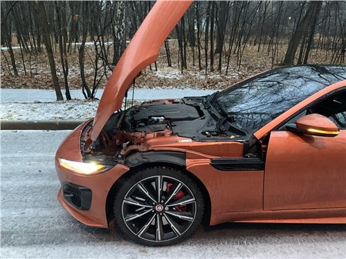 Jaguar F-Type- вы будете его хотеть! 10 Jaguar F-Type- вы будете его хотеть!