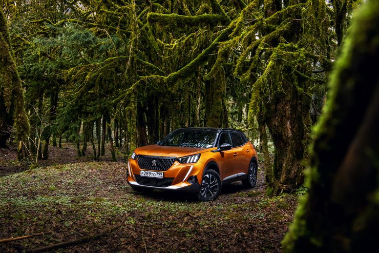 Лучше мало, чем много: первый тест-драйв нового Peugeot 2008 4 Лучше мало, чем много: первый тест-драйв нового Peugeot 2008