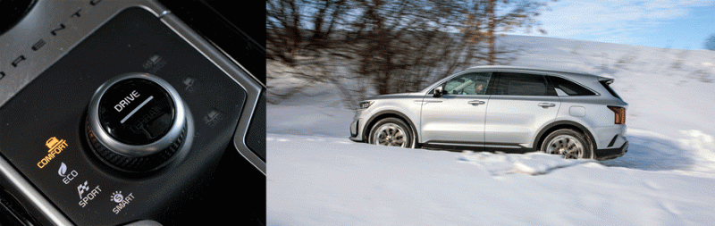 Определяем наименее конфликтный вариант Kia Sorento