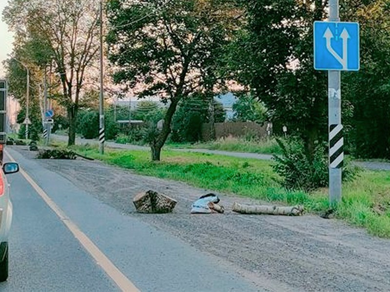 Жители Подмосковья стали самостоятельно бороться с «обочечниками»