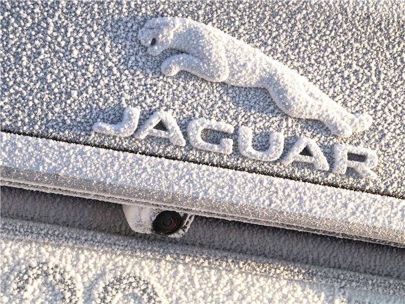 В Россию приехал новый Jaguar F-Pace