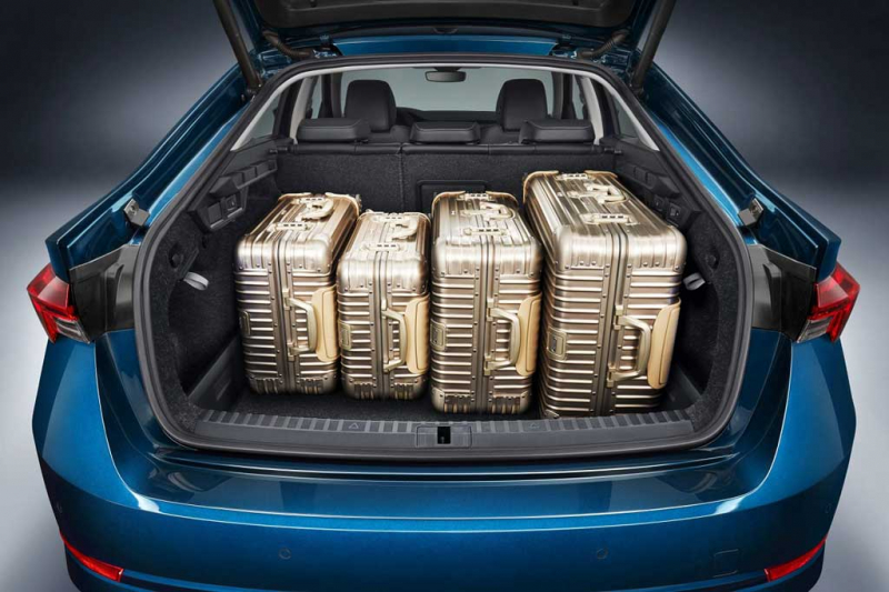 Едем на новой Skoda Octavia на дальняк: сильные и слабые лифтбека 6 Едем на новой Skoda Octavia на дальняк: сильные и слабые лифтбека