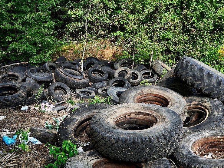 Dunlop развивает экологическую программу «ЭкоПатруль Dunlop»