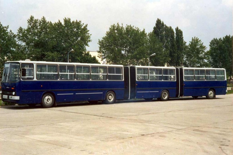 Топ-10 самых длинных в мире автобусов: впечатляющие «гармошки» 6 Топ-10 самых длинных в мире автобусов: впечатляющие «гармошки»