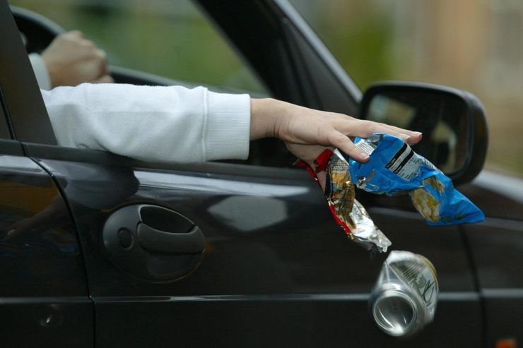 Дорогущий шашлык: 5 штрафов, которые легко поймать в поездке на природу
