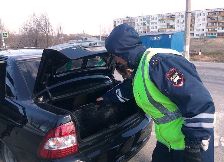 Осмотр или досмотр машины: что безопаснее для водителя